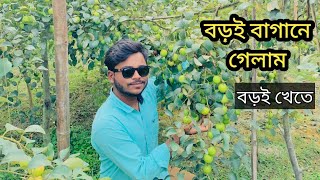 বড়ই খেতে গেলাম বড়ই বাগানে। Foysaltheborovai