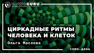 Cowo.день #3: Циркадные ритмы человека и клеток. Ольга Маслова