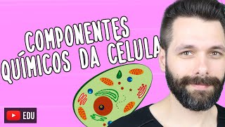 COMPONENTES QUÍMICOS DA CÉLULA| Biologia com Samuel Cunha