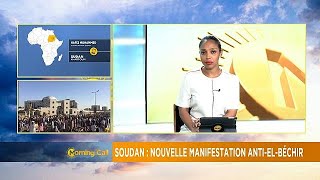 Sudan: Anti-government protests take new turn [The Morning Call]