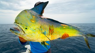 A Fishermen's Dream...GIANT Dolphin-Catch Clean Cook