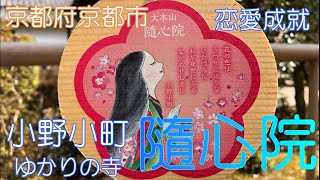 【京都府京都市】小野小町ゆかりの寺「隨心院」にいきました【恋愛成就】