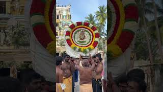 Vandavasi villaku poojai urvalam 2024 #shorts #trending #vandavasi #devotional