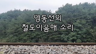 🚂덜컹덜컹~ 영동선 철길이음매 소리 모음