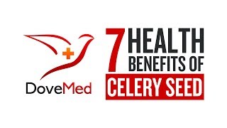 7 Health Benefits Of Celery Seeds