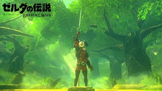 【検証】イーガ団にマスターソードを盗ませてみた【ゼルダの伝説ブレスオブザワイルド】【Botw】