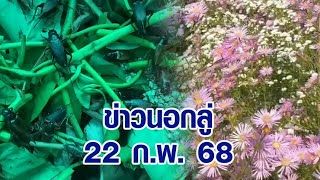 ข่าวนอกลู่ 22 ก.พ. 68