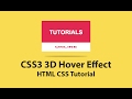 3D Hover Effect - Html5 Css3 Tutorial - Pure Css3 Hover Effects - Plz SUBSCRIBE Us For Daily Videos
