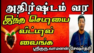 அதிர்ஷ்டம் வர இந்த செடியை உங்க வீட்டில் வைங்க  | LUCKY PLANT | VAMANAN SESHADRI TIPS