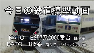 2022年11月28日 今日の鉄道模型動画(185系/E257系2000番台)