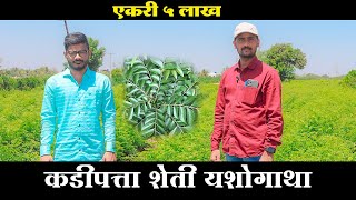 एकरी 5 लाख उत्पन्न देणारे कडीपत्ता शेतीची यशोगाथा | kadipatta farming Success Story in Maharashtra