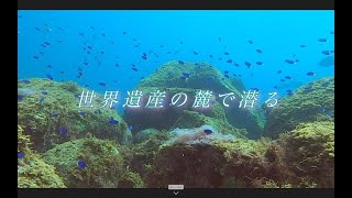 神秘的な世界が見れる熊野【Diving vrog＃3】