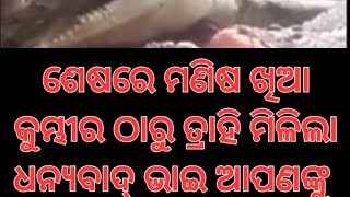 କୁମ୍ଭୀର ର ସର୍ବନାଶ କରିଦେଲେ ଏହି ଭାଇ ଜଣଙ୍କ।ଧନ୍ୟବାଦ୍ ଭାଇ