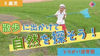 【５歳児】散歩に出かけて自然を探そう！