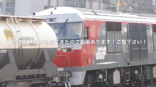 2019/1/8  5085レ EF210-140+ムドDF200-105+コキ サントリーカーブ通過