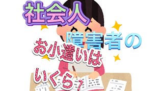 障害者　社会人のお小遣いっていくら？