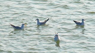 Beautiful Places To See- Beautiful Naf River, Teknaf, Bangladesh