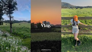 Vlog.제주 서쪽 2박 3일 여행💚 | 제주찐맛집 | 카페추천 | 정물오름 | 성이시돌목장 | 애월.협재.한림.서귀포.판포포구 | 소품샵투어 | 뽈살집 | 서쪽숙소