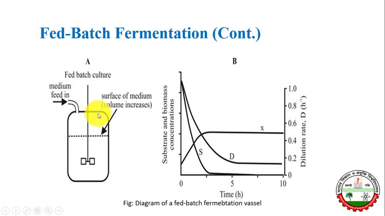 Batch, Fed-batch & Continuous Culture System || Mode Of Fermentation ...