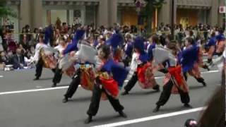 「実践女子大・短期大学WING」 YOSAKOIソーラン祭2011 三越前