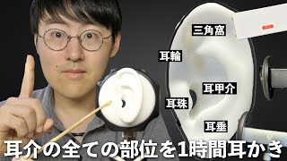 【ASMR】色々なマイクで1時間ぶっ通しで耳介のあらゆる部位を耳かきし続けます【本編はNo talking 】