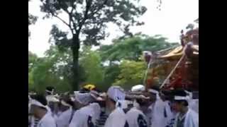 住吉大社　神輿洗神事　汐掛道での神輿振りと華麗な足さばき