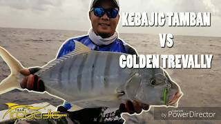 Micro Jigging VS 6Kg Diamond Trevally