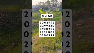 Observation Visual Test: 5 Seconds For You To Spot 209. Try Your Skills! #search #puzzle #shorts