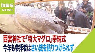 十日戎を前に西宮神社で「特大マグロ」奉納式　今年も参拝者はさい銭を貼りつけられず（2023年1月8日）