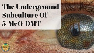 Building Best Practices In The Underground Subculture Of 5-MeO-DMT | Chad Charles ~ ATTMind 113