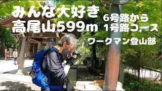 【ワークマン登山部】みんな大好き高尾山６号路から１号路コース