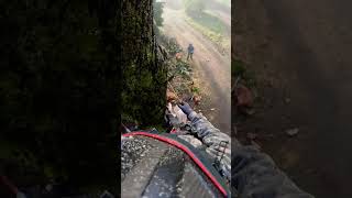 Lumberjack Above the Trees 🌳| Awesome Climber 🧗‍♂️