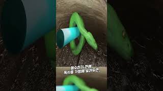 미국이 베트남과 전쟁하다 도망친 이유ㄷㄷ