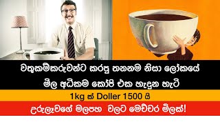 ලෝකයේ මිල  අධිකම Coffee එක  හැදුන හැටි|Copi Luwak| Civet Coffee|Nutri Info