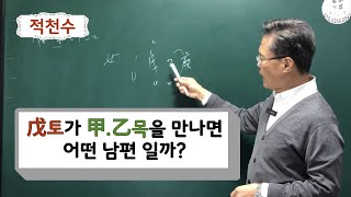 적천수-무토가 갑.을목을 만나면 어떤 남편 일까?