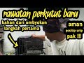 Rawatan Langkah pertama beli perkutut bahan ombyokan aman tidak mati