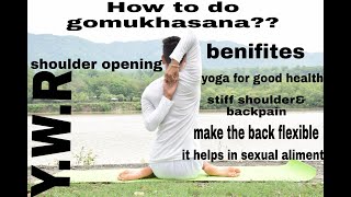 How to do gomukhasana?/shoulder stretching/benifites of cow face pose/yoga for diabetes#ytshorts