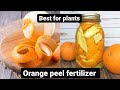 Orange Peel Fertilizer For plants | How To Make Orange Peel Liquid Fertilizer | Terrace & Gardening