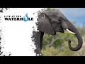 LIVE at the waterhole - 05 June 2026