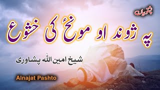 jawand aw munz ki khusho | Pashto islamic bayan پشتو بیان  پہ ژوند او مونز کی خشوع