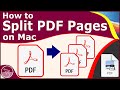 How to Split PDF Pages into Separate Files on Mac (With Preview) | macOS Big Sur