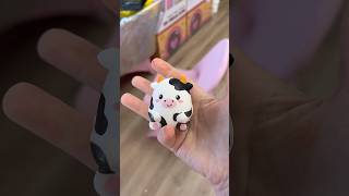 Cow Fidget MYSTERY Scoop?! 🐄🐮 ​⁠@MrsBench