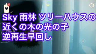 Sky 雨林 ツリーハウスの近くの木の光の子　逆再生早回し