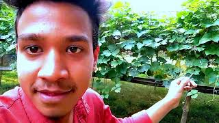 আমাদের ২য় vlog