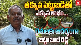 రైతులకు ఆదర్శంగా జిట్టా బాల్ రెడ్డి | Farmer Jitta Bal Reddy Success Story -SBTv