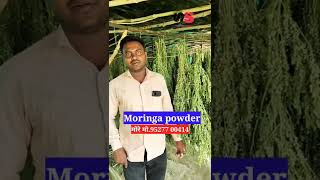 शेवगा पाला पावडर / मोरिंगा पावडर/moringa powder/shevga powder/sahajan #shevgasheti #moringapowder