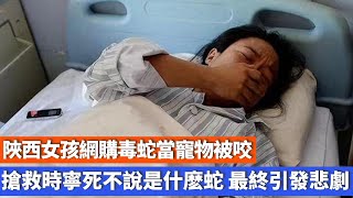 陜西女孩網購毒蛇當寵物被咬，搶救時寧死不說是什麽蛇，最終引發悲劇