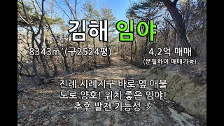 (시세참고용) 경남 김해 토지매매(임야) 4.2억 / 시례지구 바로 옆 (아파트 6,300세대 건설), 도로진입이 양호하며, 위치 좋은 매물(분필 가능) / 진례 시례리 시골땅