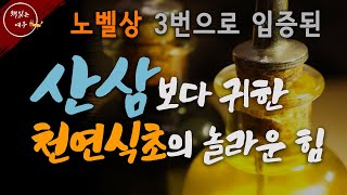 노벨상 3번 받은 놀라운 천연식초의 효능! | 식초 이렇게 드시면 몸속 온갖 염증 싹 사라집니다 | 항암효과 | 치매 예방 |  천연식초 먹는법  | 책읽어주는여자 | 오디오북