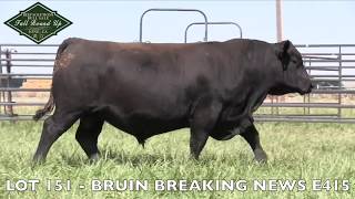 LOT 151  BRUIN BREAKING NEWS E415